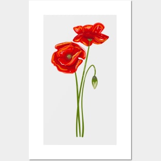 Anemone flowers Posters and Art